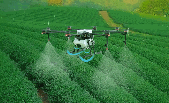 Tarım İçin İnsansız Hava Araçları ile RGB ve Multispektral Sensörler Arasındaki Seçim